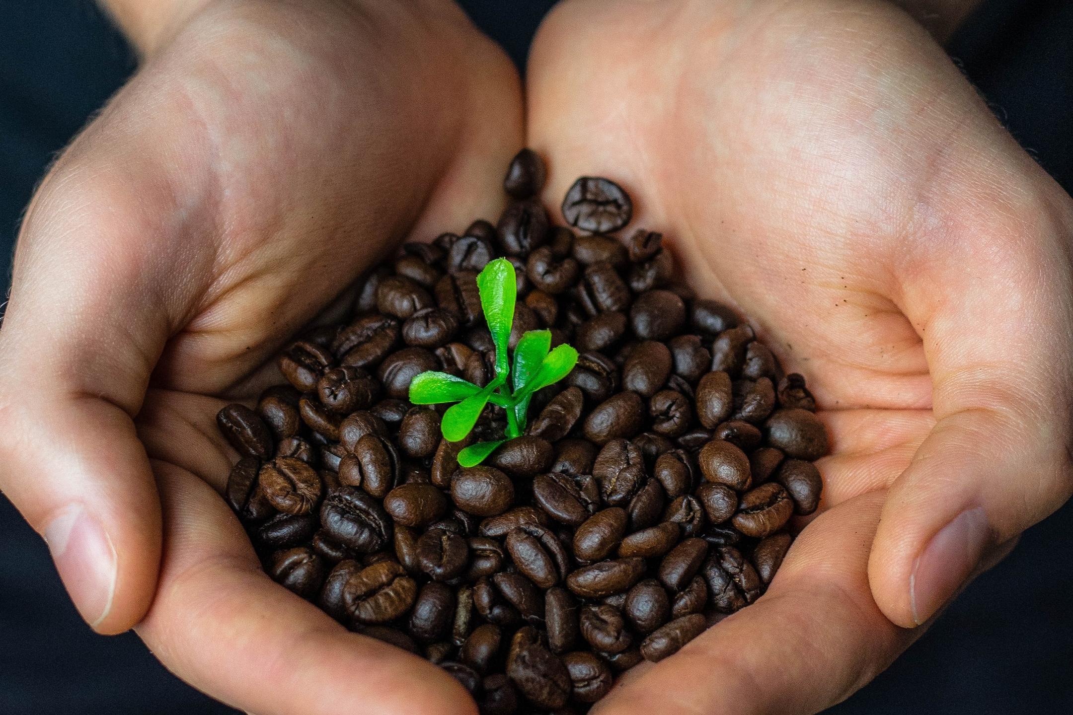 Fair Trade gibt es seit 50 Jahren im Saarland.