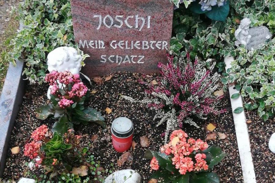 Grab auf einem Tierfriedhof